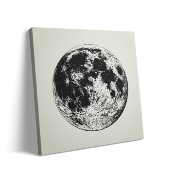THE MOON